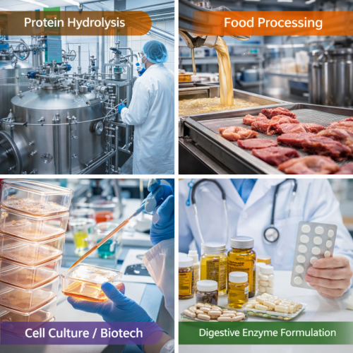 Premium Immobilized Glucose Isomerase Enzyme Preparation