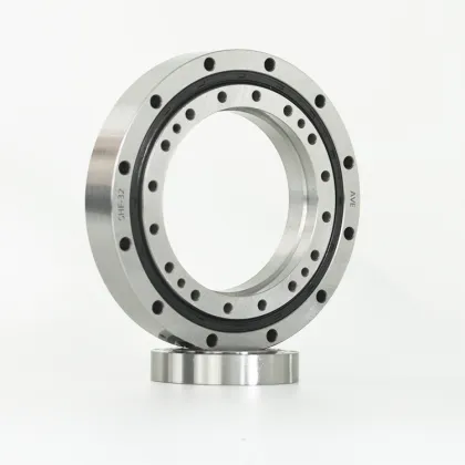 SHF 50 Harmonic Reducer Bearing