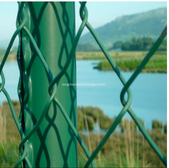 PVC Coated Chain Link Mesh Fencing