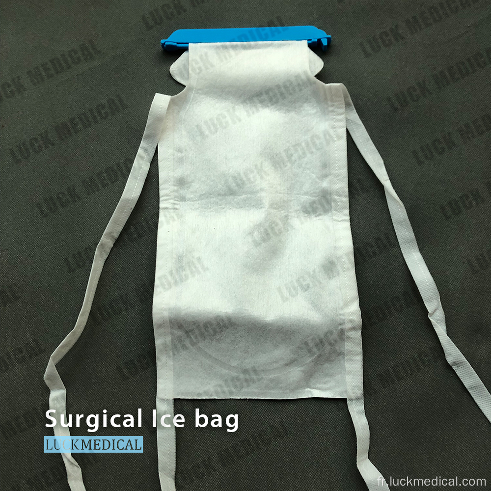 Sac à glace rechargeable avec pince