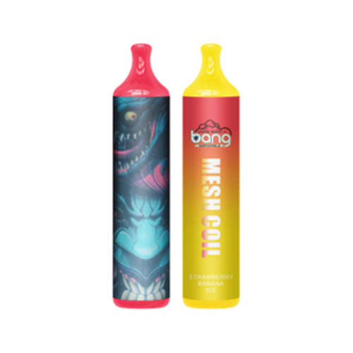 Netherlands Hot Sale Vape Bang king 6000 Puffs