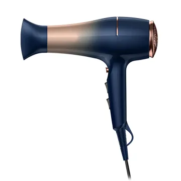 Newly Designed Private Label Household Hair Dryer