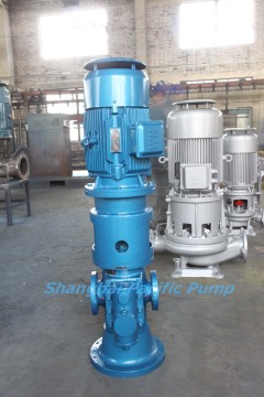 Vertical Double Screw Pump