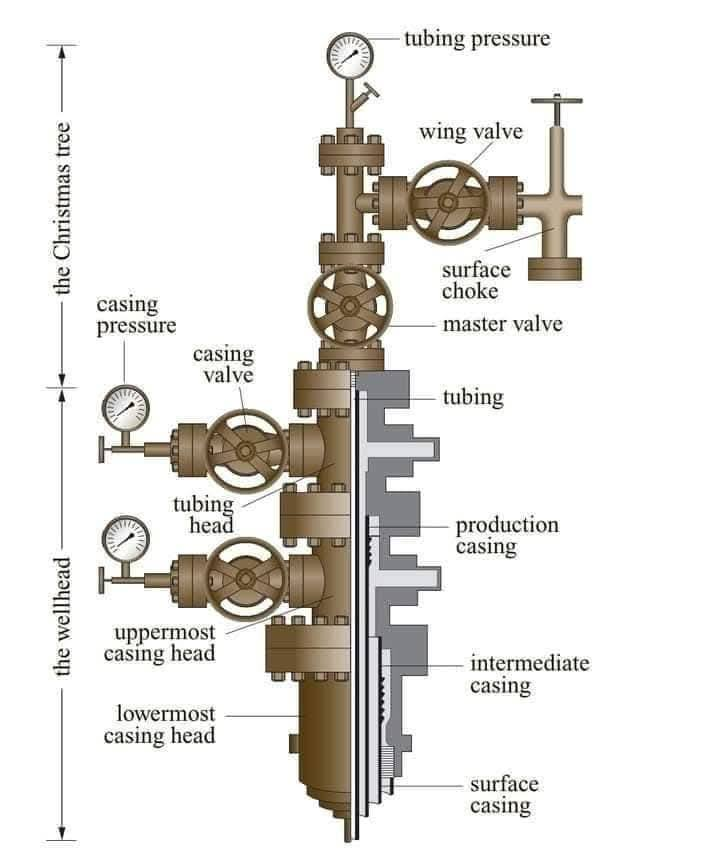 21b4cb06-1663-446e-8e5f-acd8eb8a2dcb