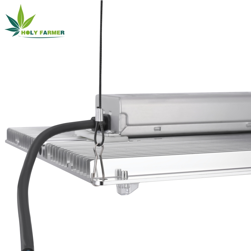 100wledgrowlight11