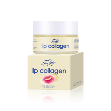 Korean Wholesale Lip Care: Hyaluronic Acid Collagen Peptide Plumping Sleeping Mask