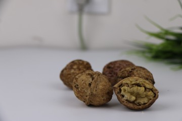 Organic Raw Walnuts Unwashed in Shell