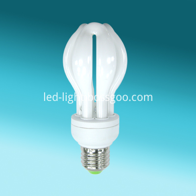 Small Lotus energy efficient light bulbs