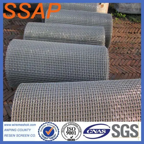 Best Quality Stainless Steel Crimped Wire Mesh