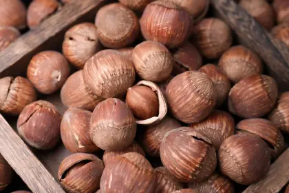 Delicious Roasted Hazelnut Product