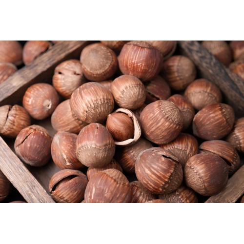 Sản phẩm hạt dẻ rang thơm ngon