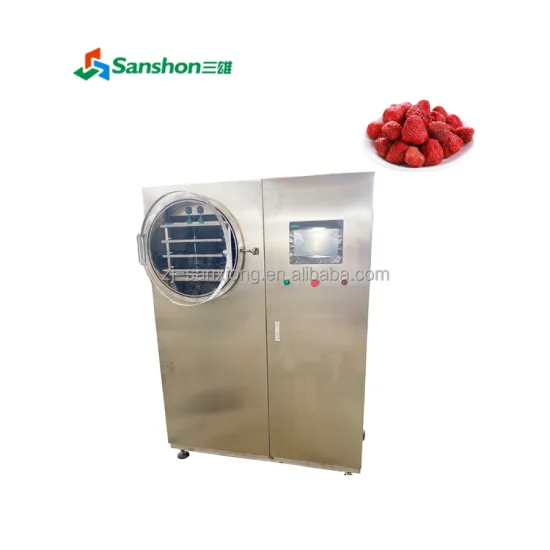China Vacuum Freeze Dryer Machine for Fruit and Sweet Corn