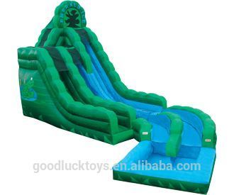 20' Emerald Ice Dual Lane Inflatable Water Slide with a pool