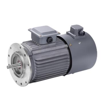 High RPM AC Induction Electric Motors - 1kW to 315kW Three Phase