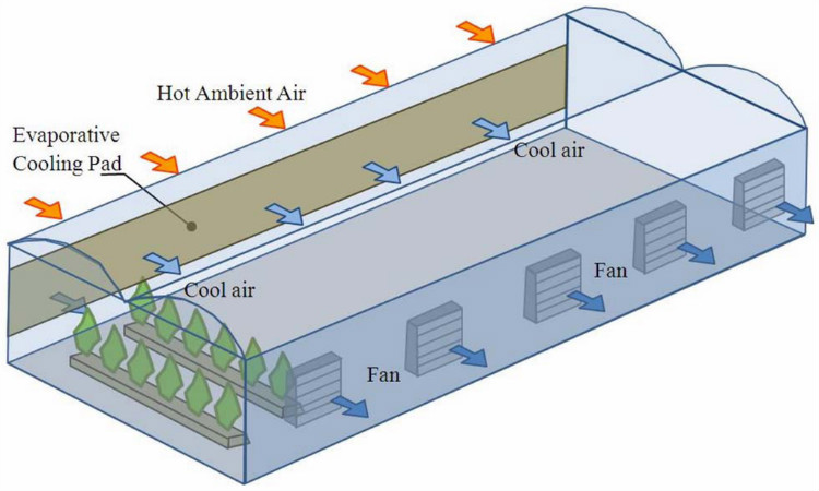 Cooling Pad