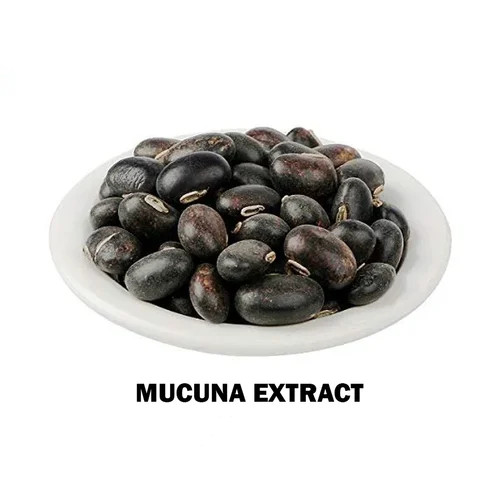 Plant Extract Mucuna Pruriens Extract