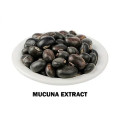 Plant Extract Mucuna Pruriens Extract