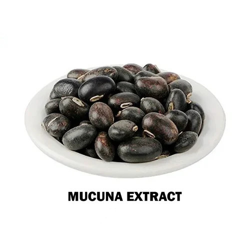 Plant Extract Mucuna Pruriens Extract