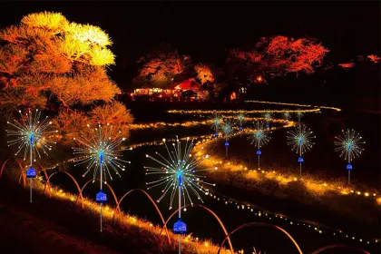 LED Solar Fireworks Light