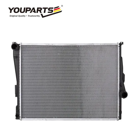 Youparts Grille Cover E46 E85 E89 BMW M3 E46 Radiator