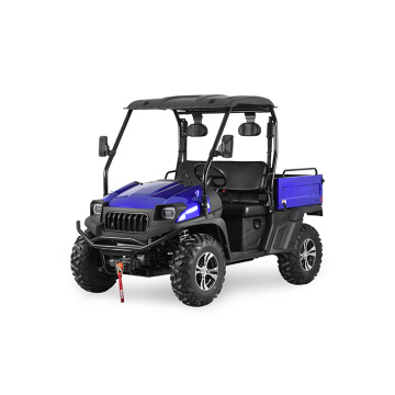 Electric Car/Mini/Battery UTV with EEC Certificate