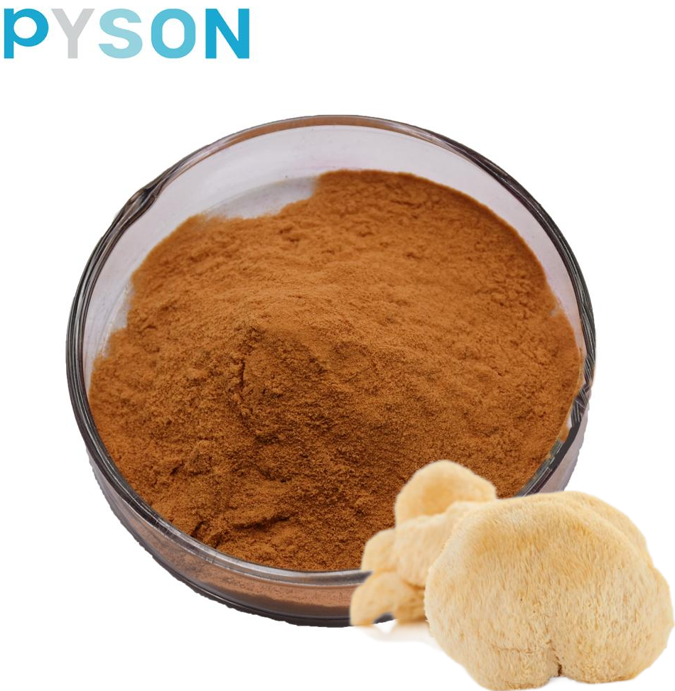 hericium erinaceus mushroom extract