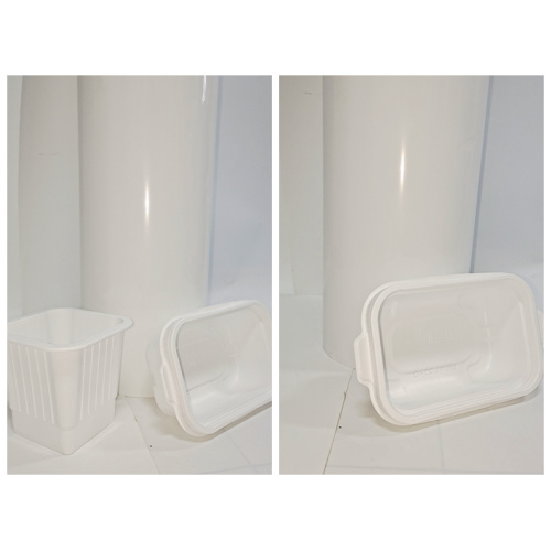 Porcelain white pet Rigid sheet films for packing