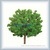 Architecural model materials,model building materials,model tree,scale model tree,plastic model tree