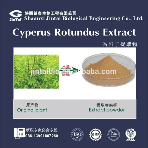 Top Quality Good For Female Nutgrass Extract Powder, High Quality Top
