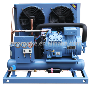 Blast Freeze Condensing Unit -30/-40 degree C