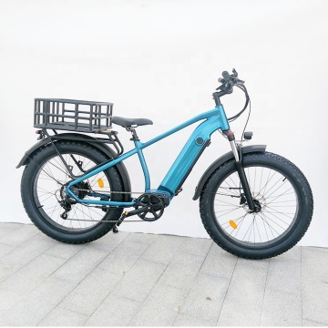 750W 48V Lithium Battery Endurance Electric Dirt Bike met 26*4.0 dikke band