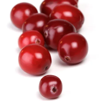 Organic lingonberry powder bulk