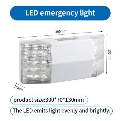 Exterior Emergency Egress Lighting Double Head
