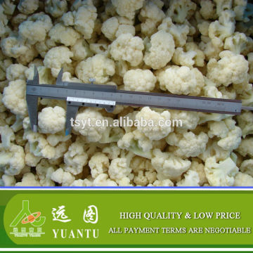 Frozen Cauliflower Vegetables From 2015 New Processed