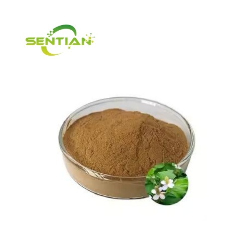 Wholesale Organic Houttuynia Cordata Extract Powder