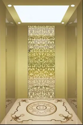 APSL Good Quality Residential Elevator Lift