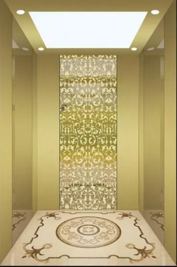 APSL Good Quality Residential Elevator Lift