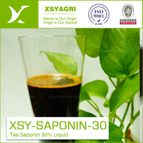 Liquido di saponina del seme di pesticidi tè con saponina ricco 35%