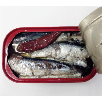 Sardinenfisch in Dosen in Öl