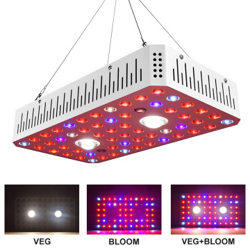 Cree COB LED Wachstumslicht Samsung LM301B