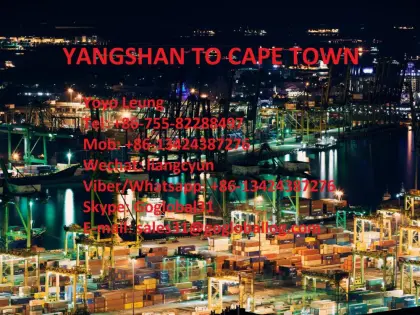 Shanghai Yangshan Sea Freight to South Africa Cape Town