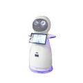 Bienvenidos los robots interactivos de la empresa que habla