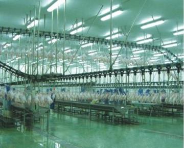 Supply poultry slaughtering machines and production line