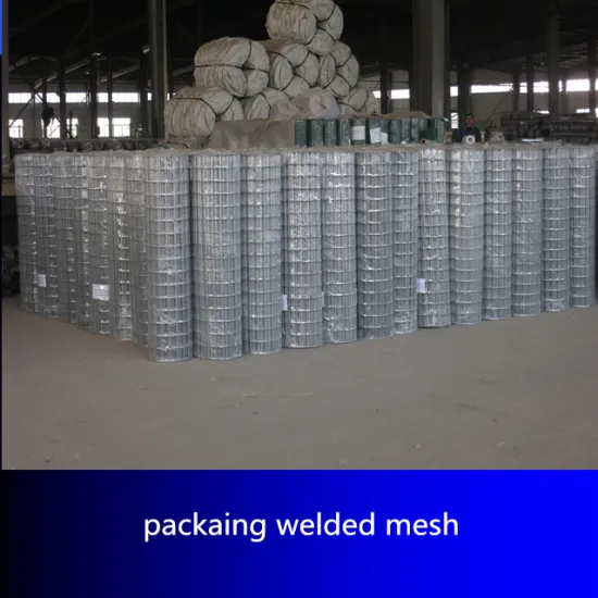 2" Welded Wire Mesh Dog Kennel With 1*30m