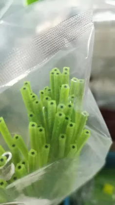 Pro-grade Nylon Power String Trimmer Line: 3.2mm x 1LB for Brushcutter, Weedeater & Line Trimmer