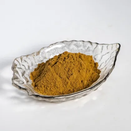 Sea Buckthorn Extract Powder Hippophae Rhamnoides Powder