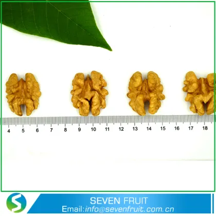 Nut Snack Type natural LH 1/2 - Butterfly - split Chinese light havles walnuts kernels price