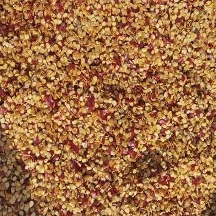 Grade A Paprika Sweet Seeds