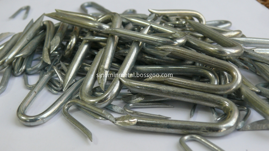 25mm-Fencing-Staples-U-Nails (2)_1