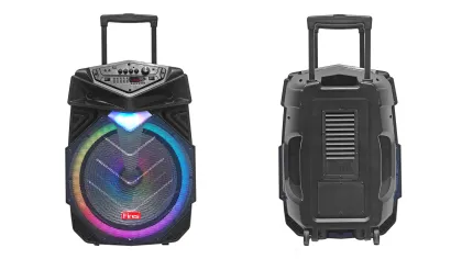 2024 Electronics: Bass Bin 15 Subwoofer Speaker for DJ Trolley